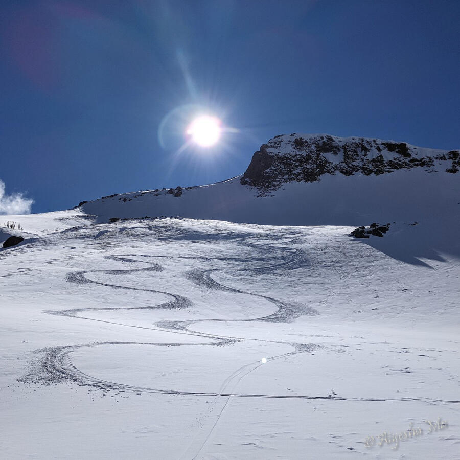 Ski tracks on Elephant's Back, Carson Pass