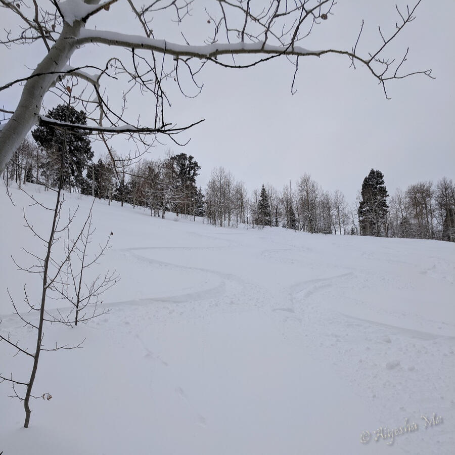 Telemark tracks, Uinta Mountains