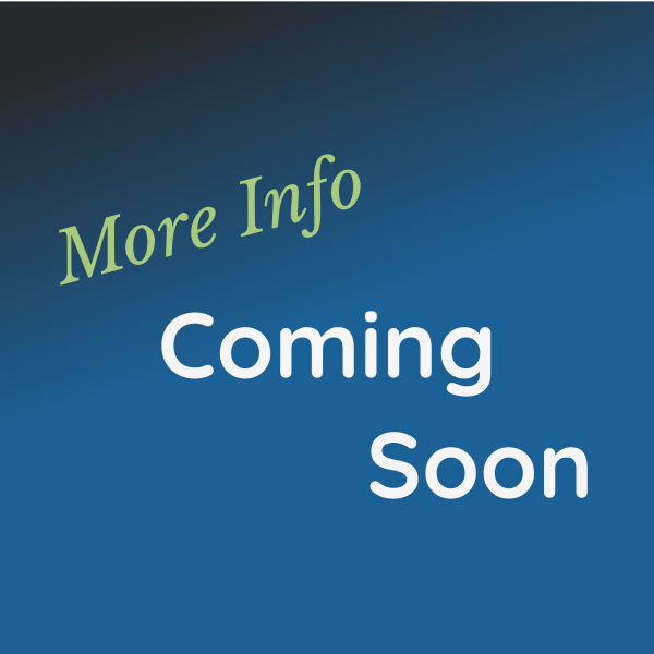 Bristlecone Pine, Lake Sabrina, John Muir Wilderness